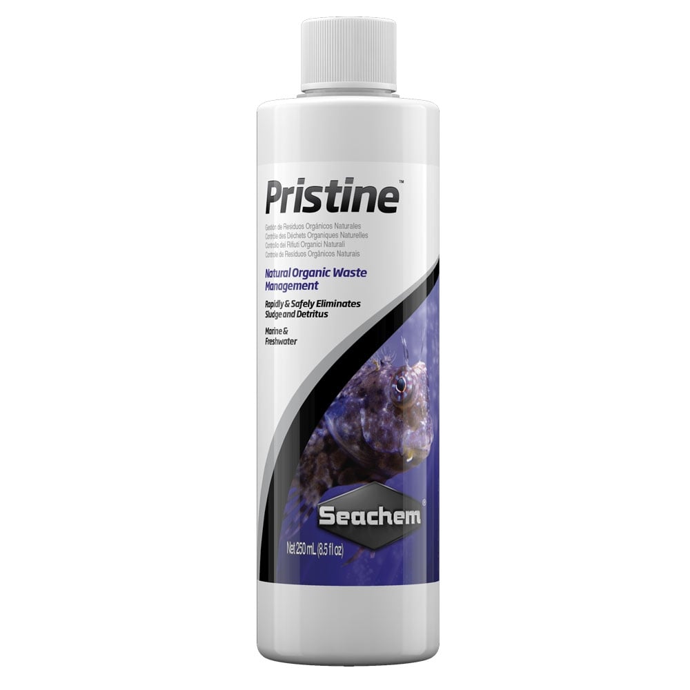 Pristine