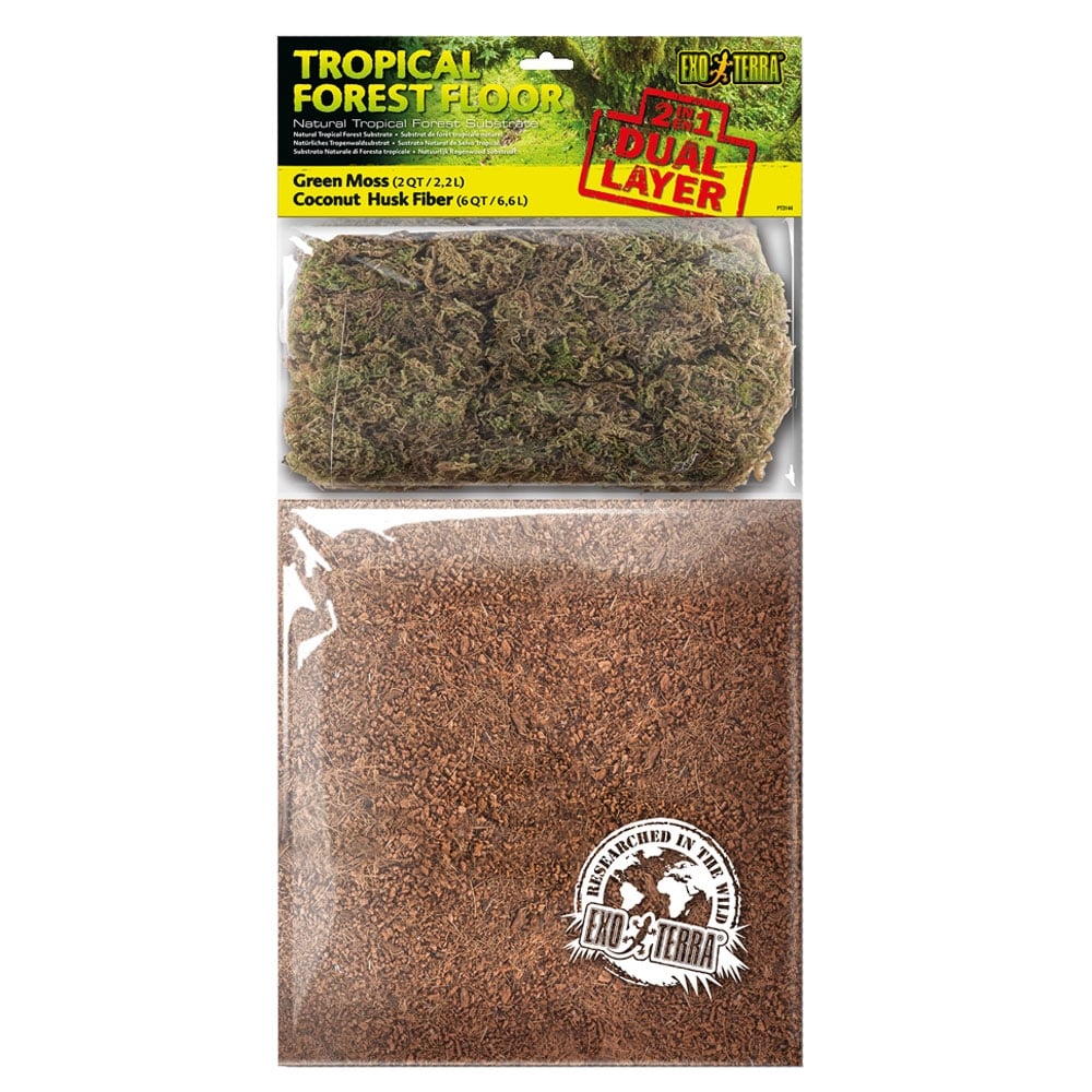 Tropical Forest Floor Dual Layer