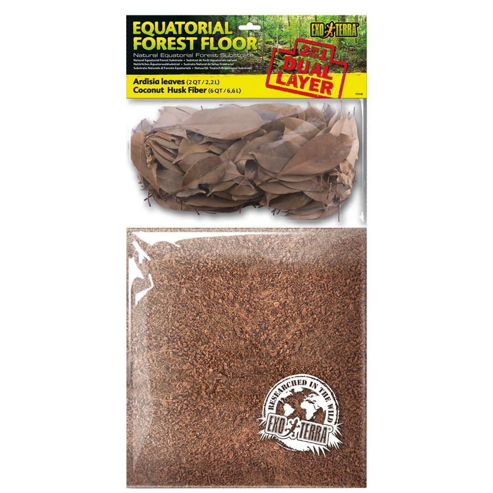 Equatorial Forest Floor Dual Layer