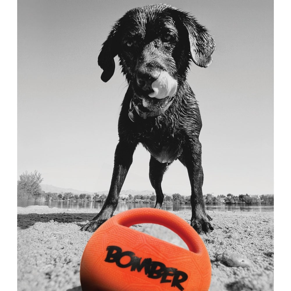 Bomber Ball