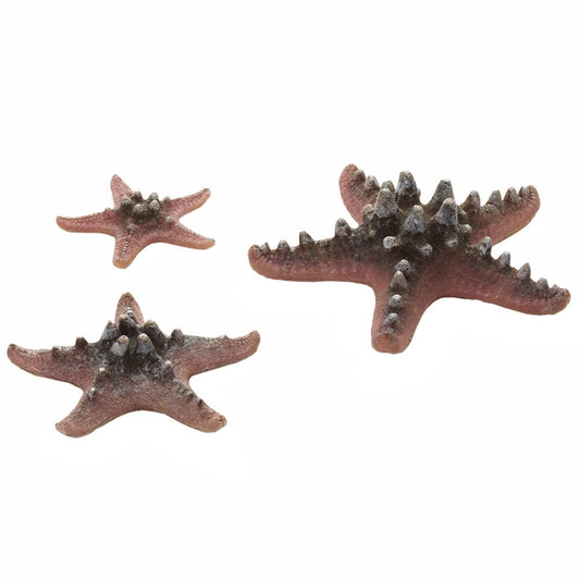 Sea Star Set - Pink