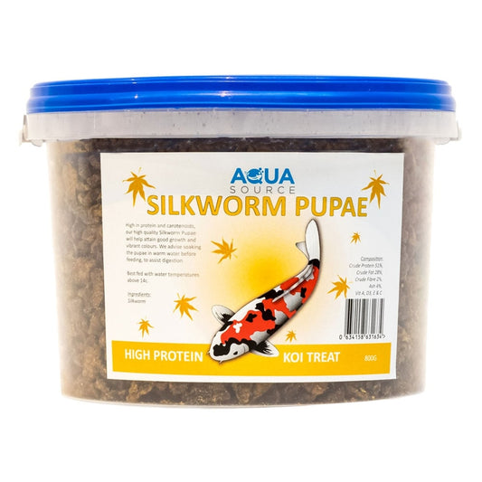 Silkworm Pupae