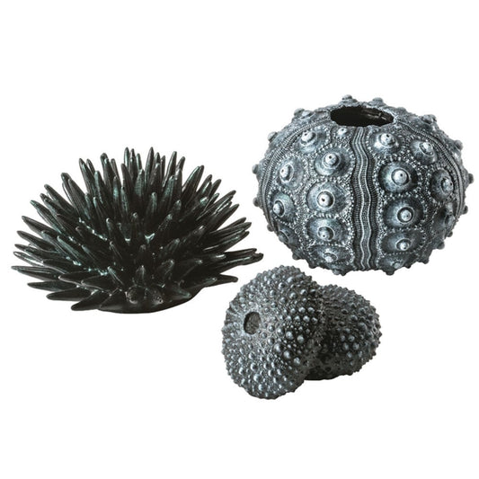 Sea Urchins Set - Black
