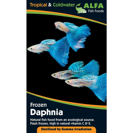 Frozen Daphnia Blister Pack 100g