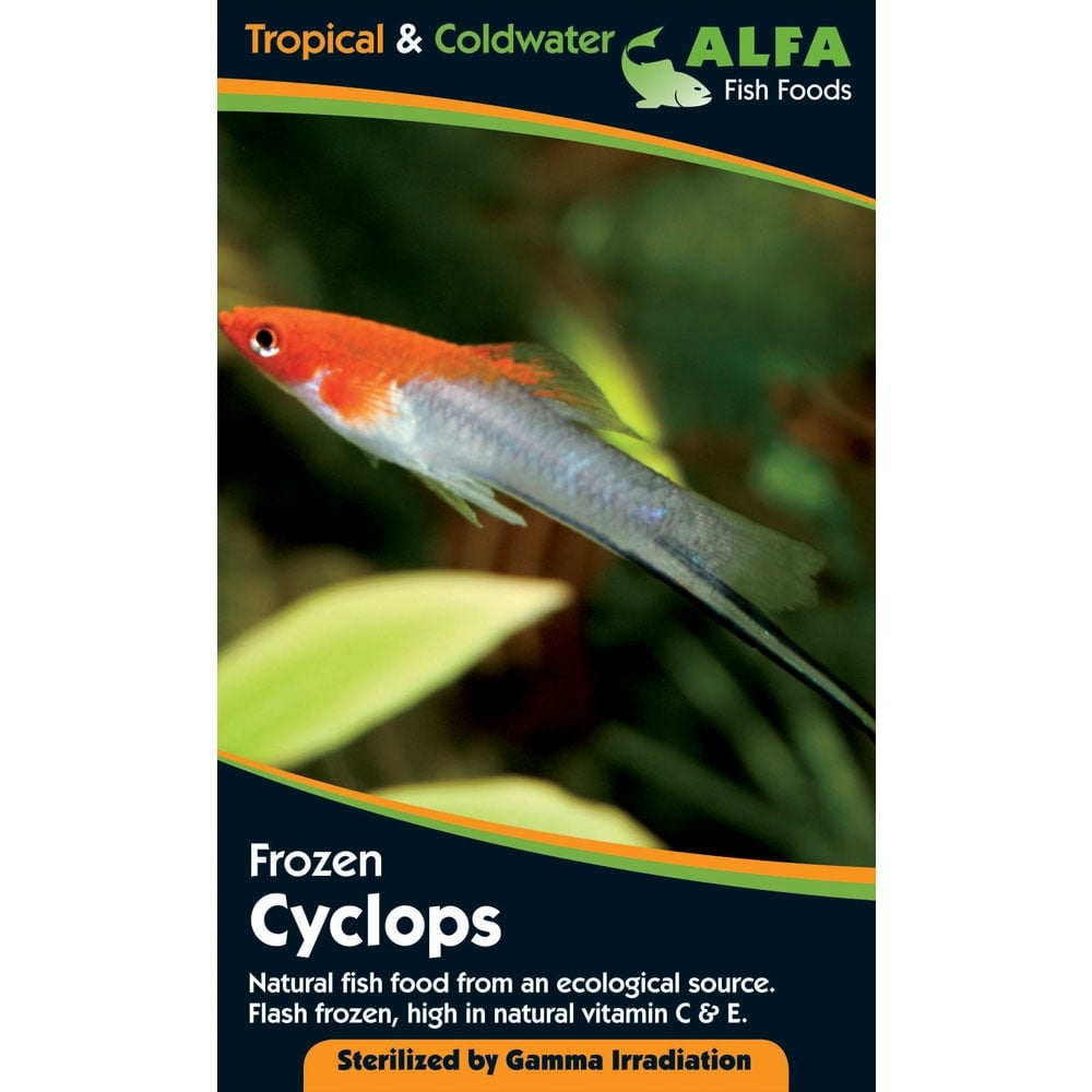 Feeding Ornamental Fish With Cyclops: Ultimate Nutrition Guide