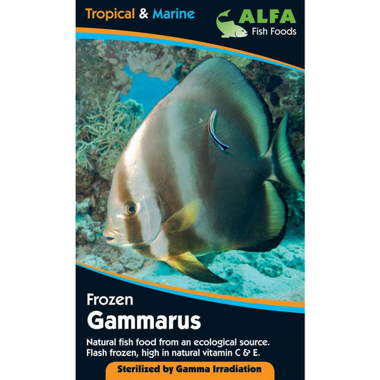 Frozen Gammarus Blister Pack 100g