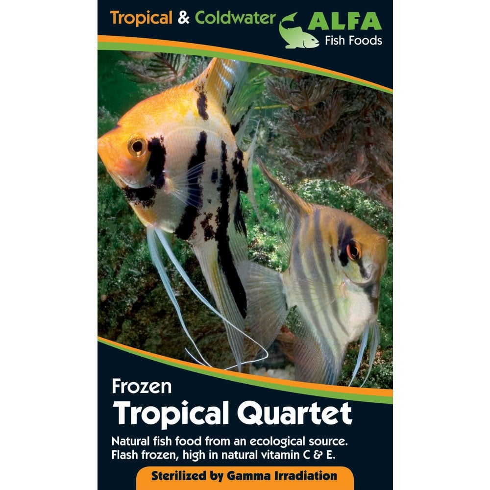Frozen Tropical Quartet Blister Pack 100g