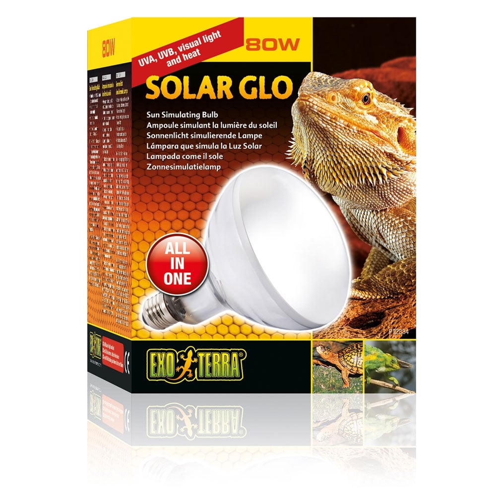 Solar Glo Lamps