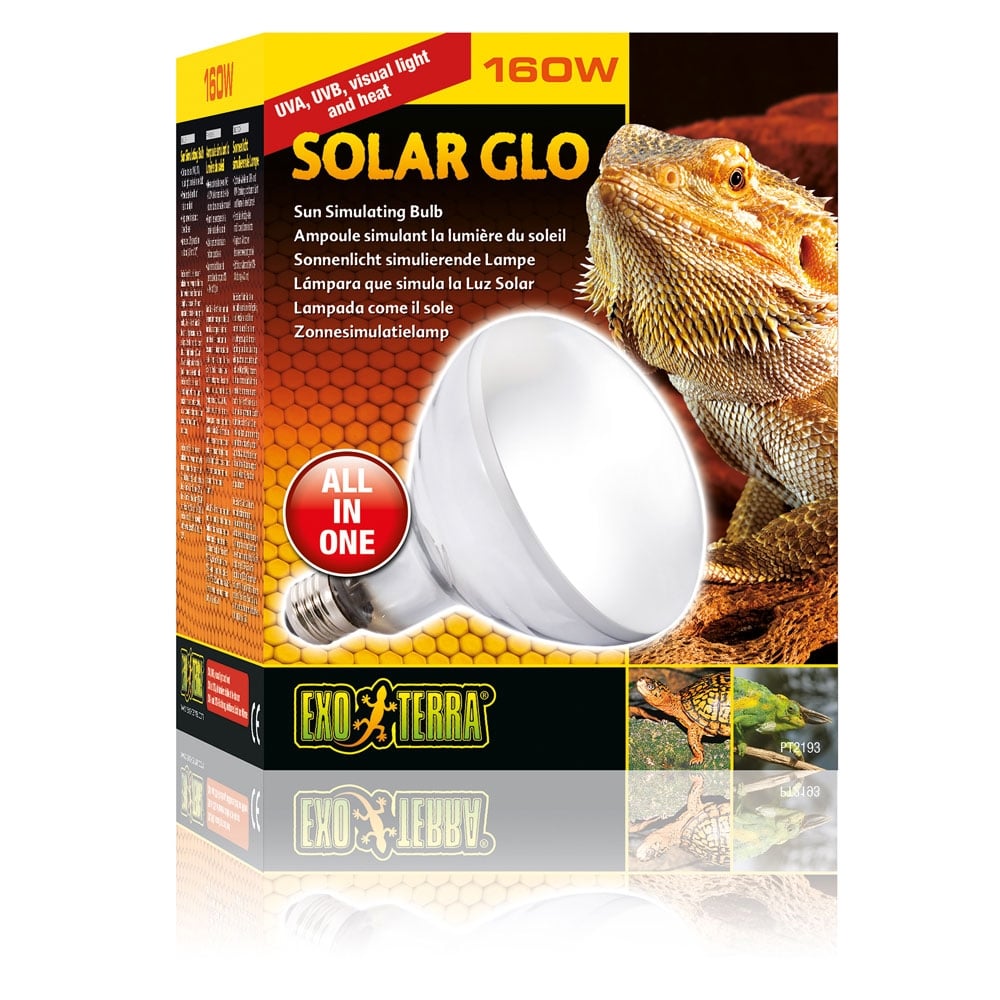 Solar Glo Lamps