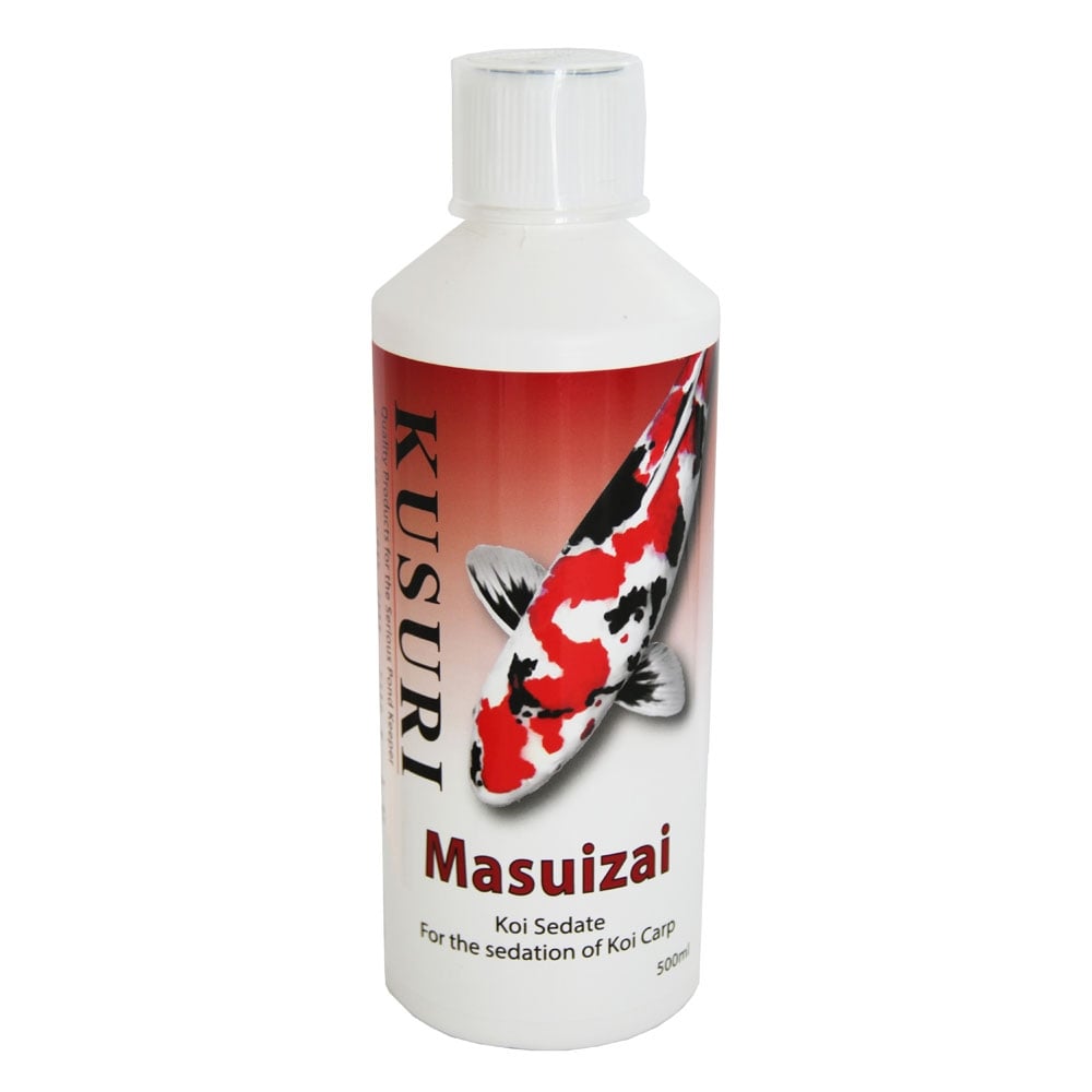 Masuizai Koi Sedate