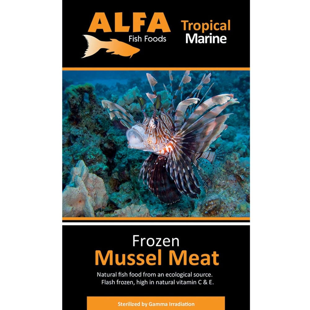 Frozen Mussel Meat Blister Pack 100g