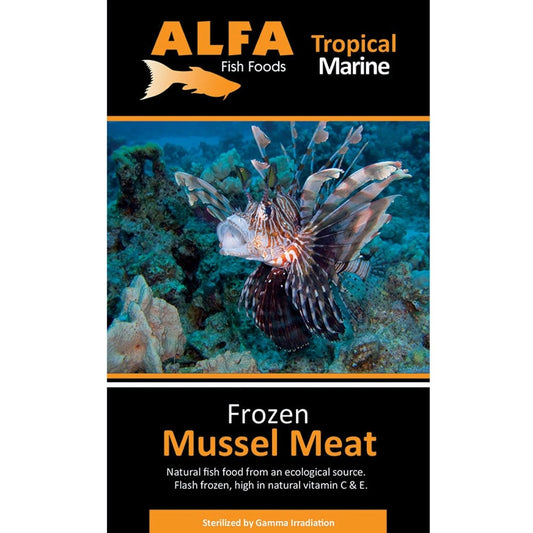 Frozen Mussel Meat Blister Pack 100g