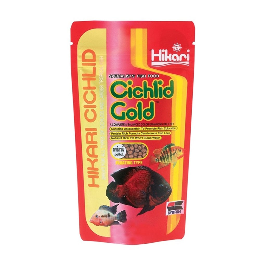 Cichlid Gold