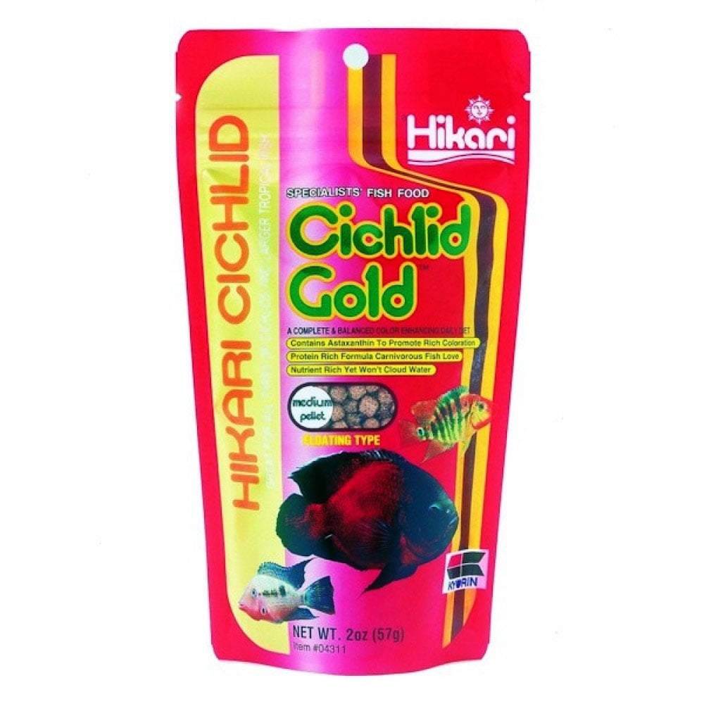 Cichlid Gold