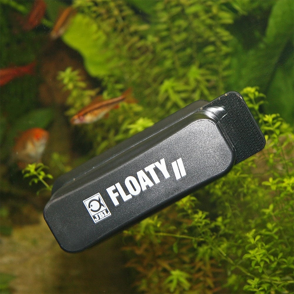 Floaty II Algae Magnet