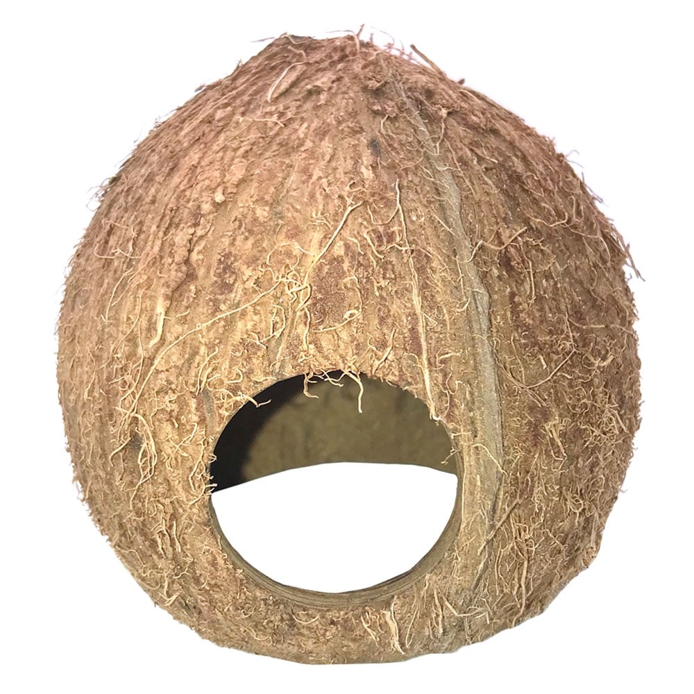 Cocos Cava Hiding Caves