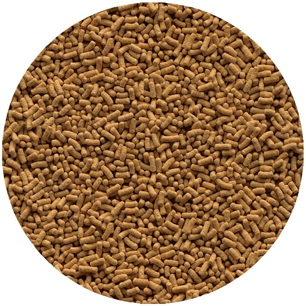 Wheatgerm Sticks