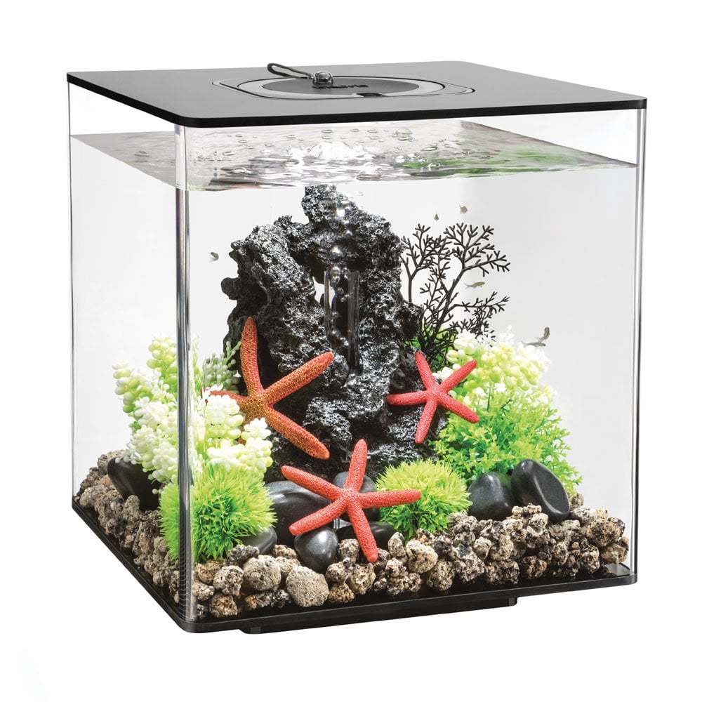 CUBE 30 Aquarium MCR LED - Black