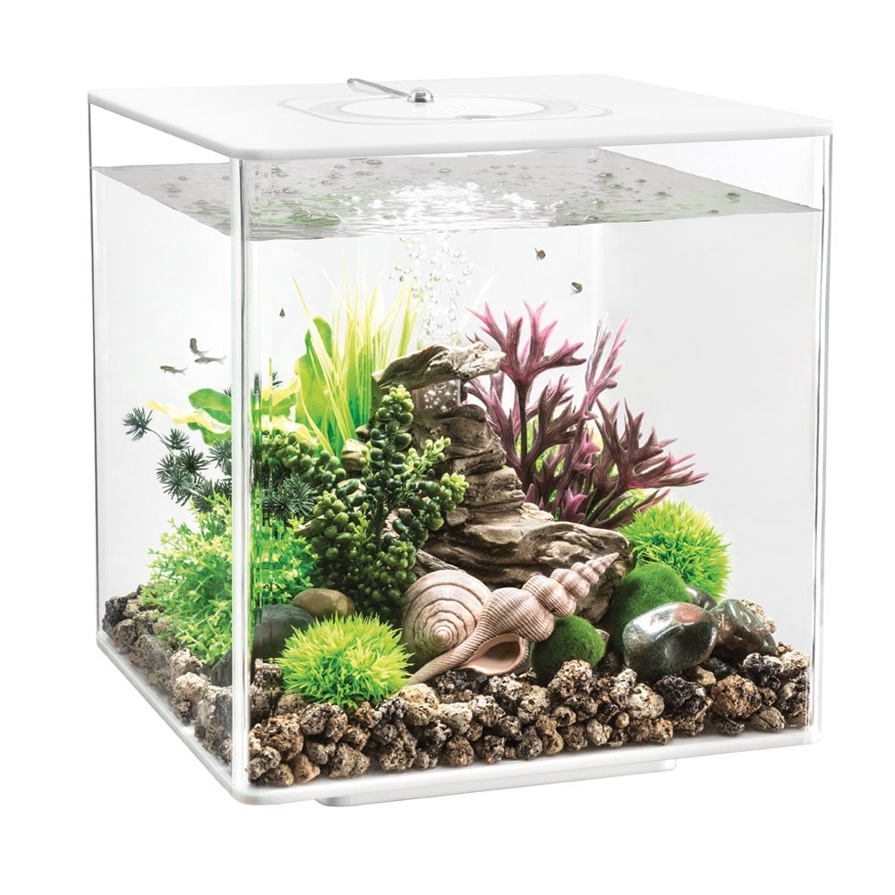CUBE 30 Aquarium MCR LED - White