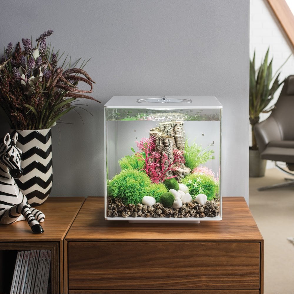 CUBE 30 Aquarium MCR LED - White