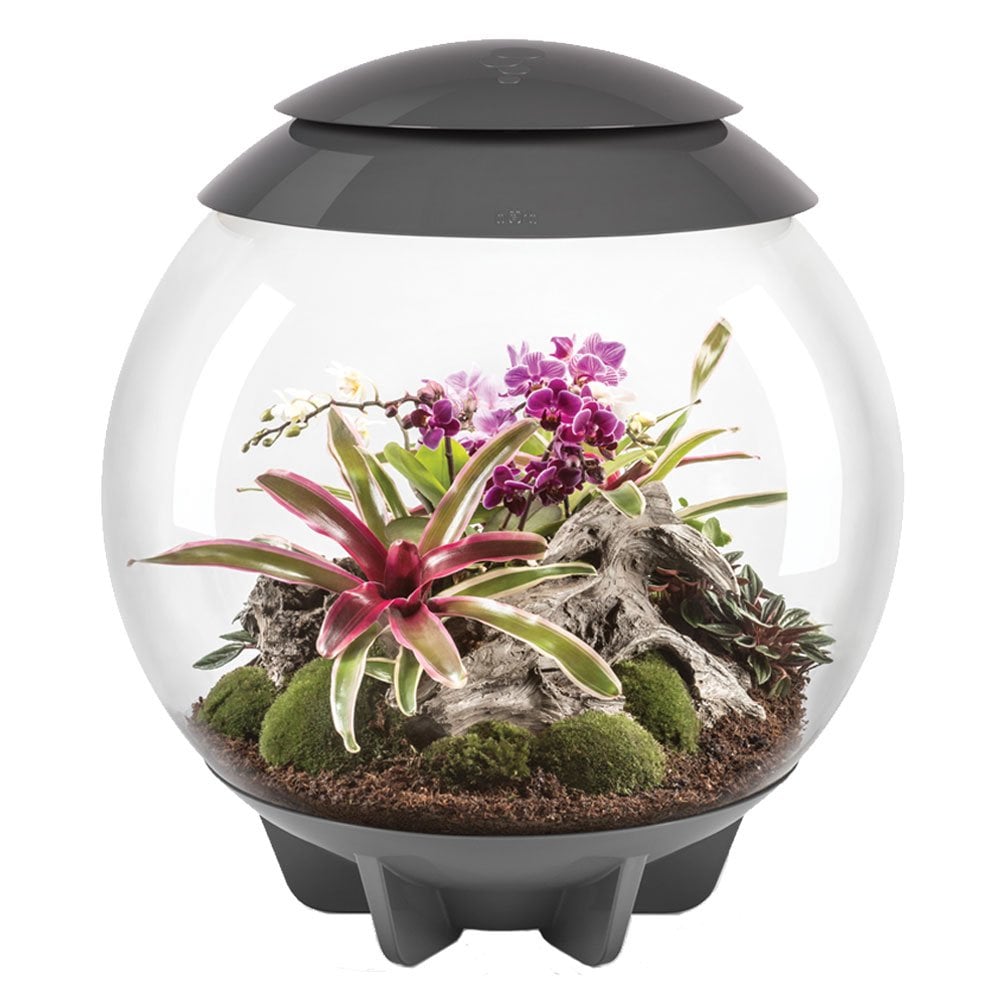 Air 60 Terrarium - Grey