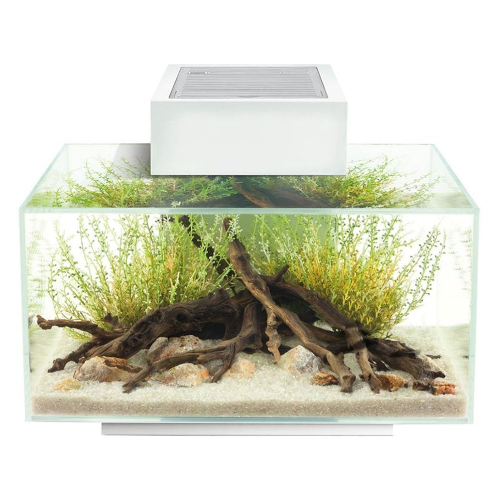 best fish net for fluval edge Fluval Edge 20 Aquarium 23L Gloss White