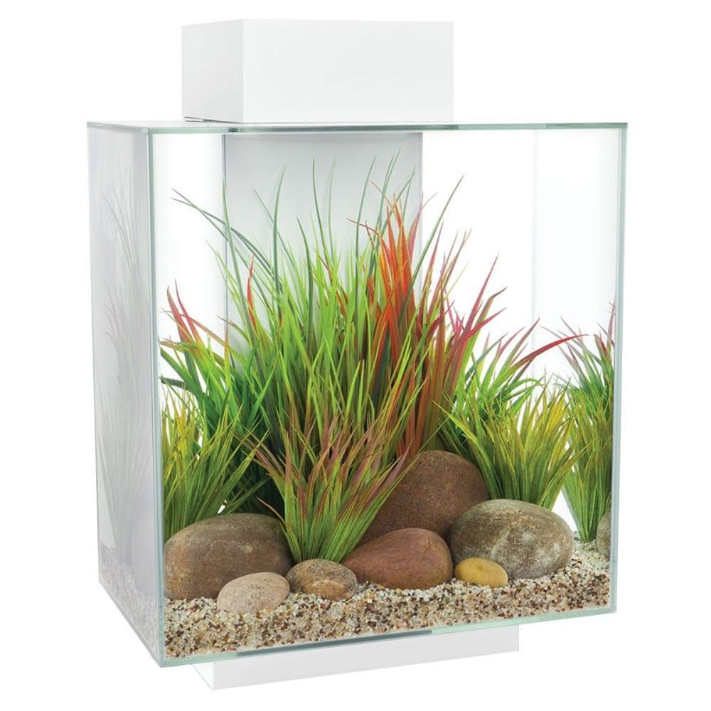 Edge 2.0 Aquarium 46L - Gloss White