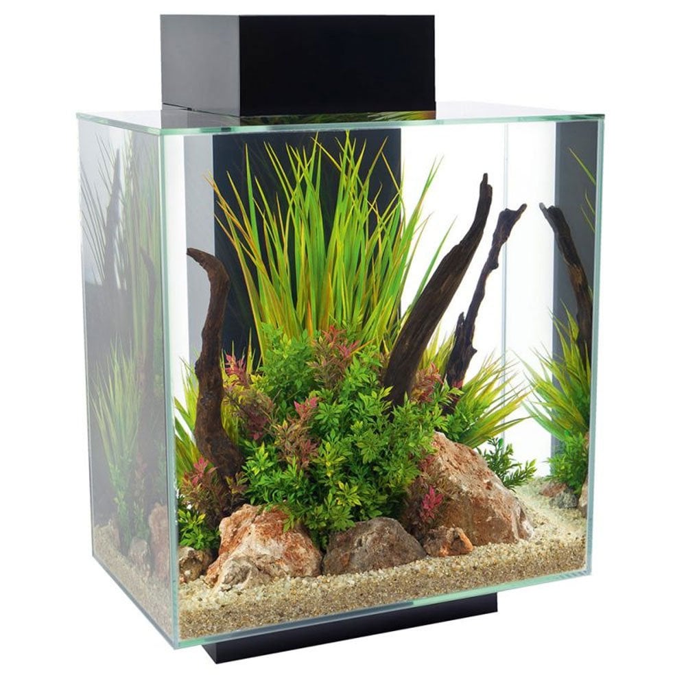 Edge 2.0 Aquarium 46L - Gloss Black