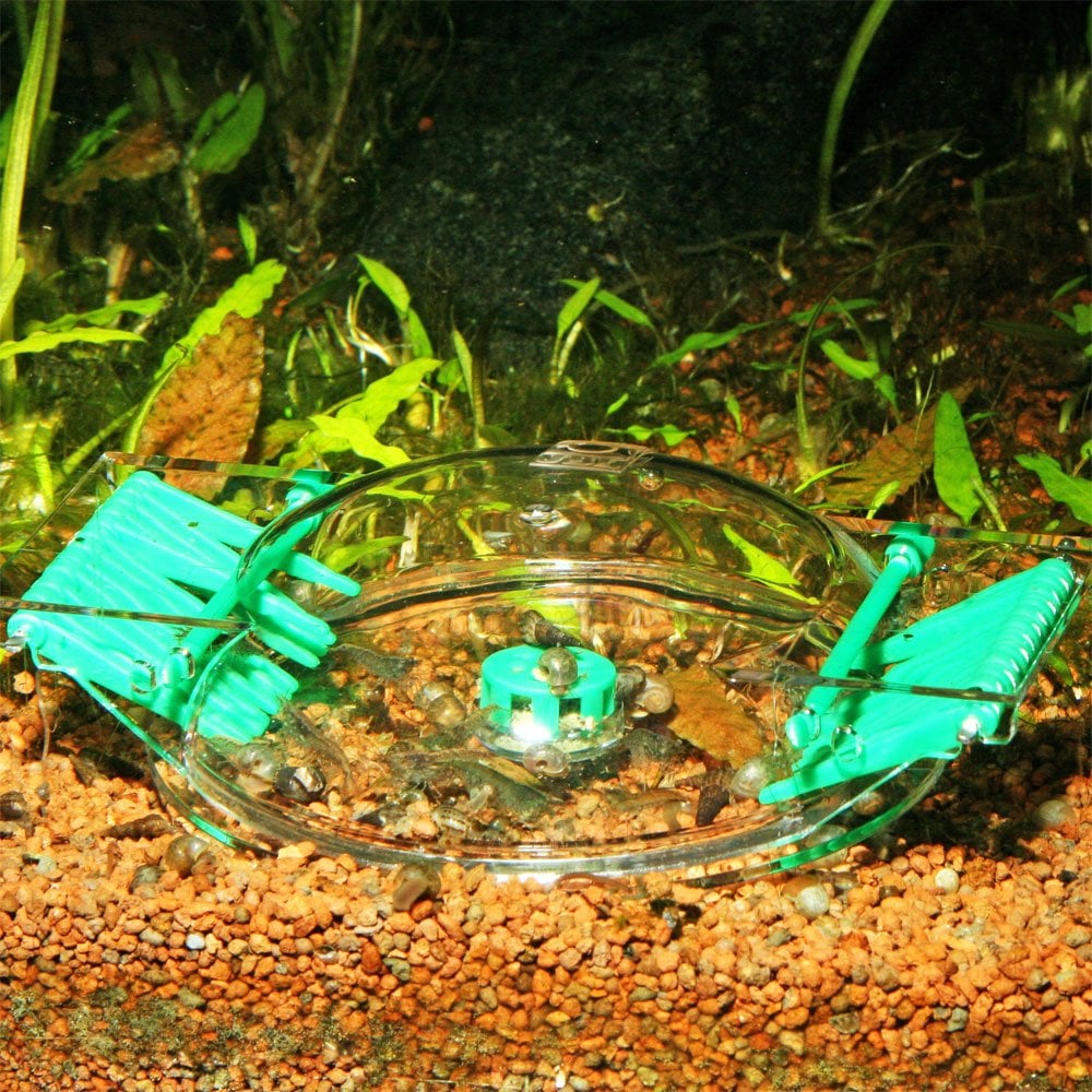 LimCollect Snail Trap