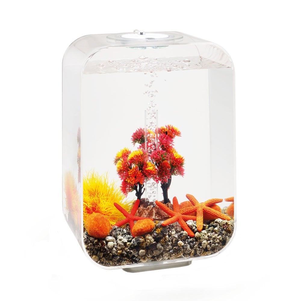 Easy Decor Set 15L - Autumn