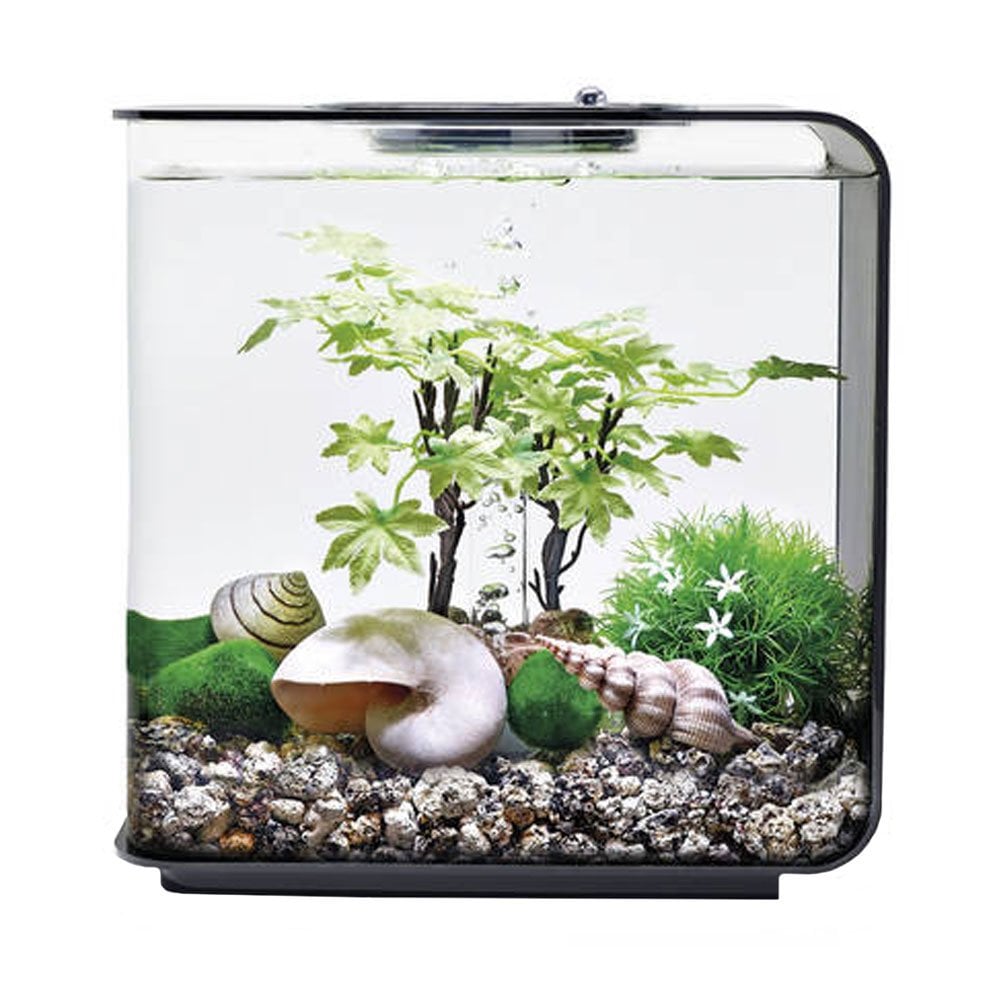 Easy Decor Set 15L - Summer