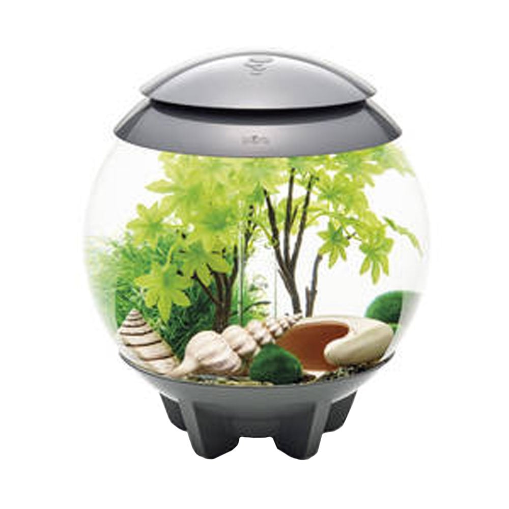 Easy Decor Set 15L - Summer