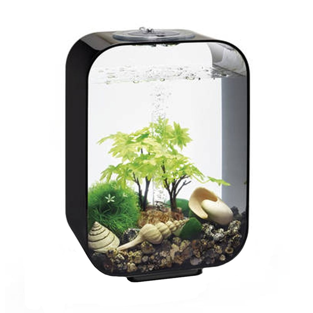 Easy Decor Set 15L - Summer