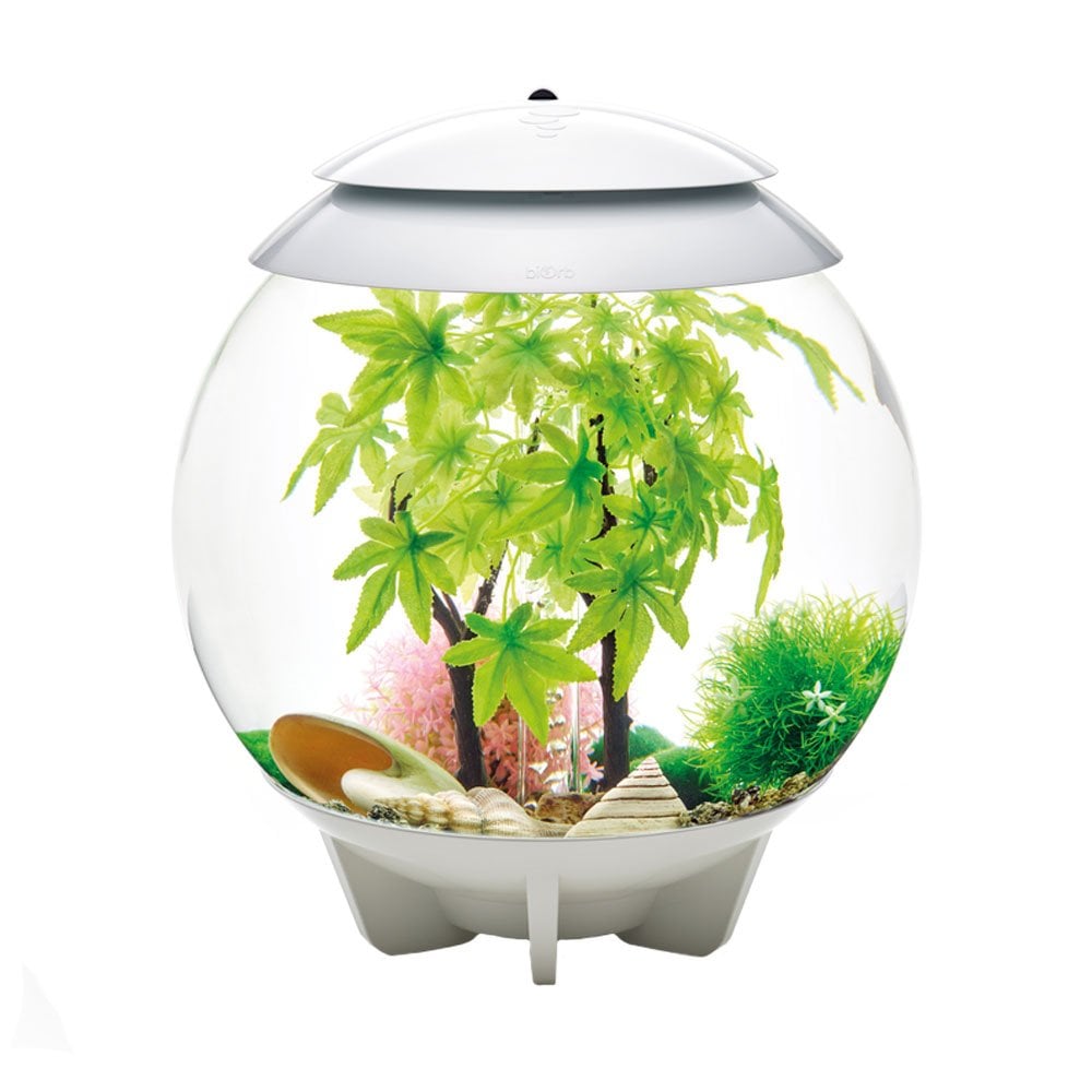 Easy Decor Set 30L - Summer