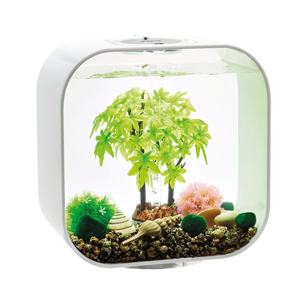 Easy Decor Set 30L - Summer