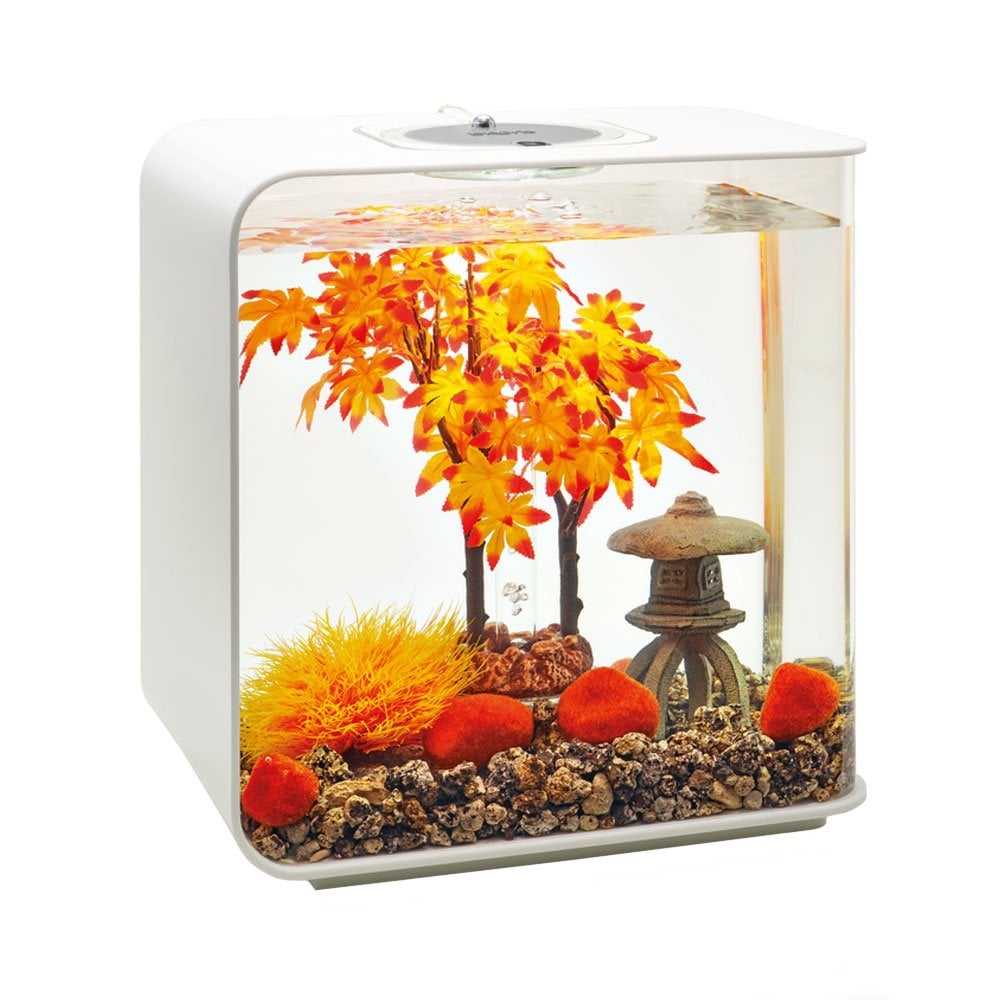 Easy Decor Set 30L - Autumn