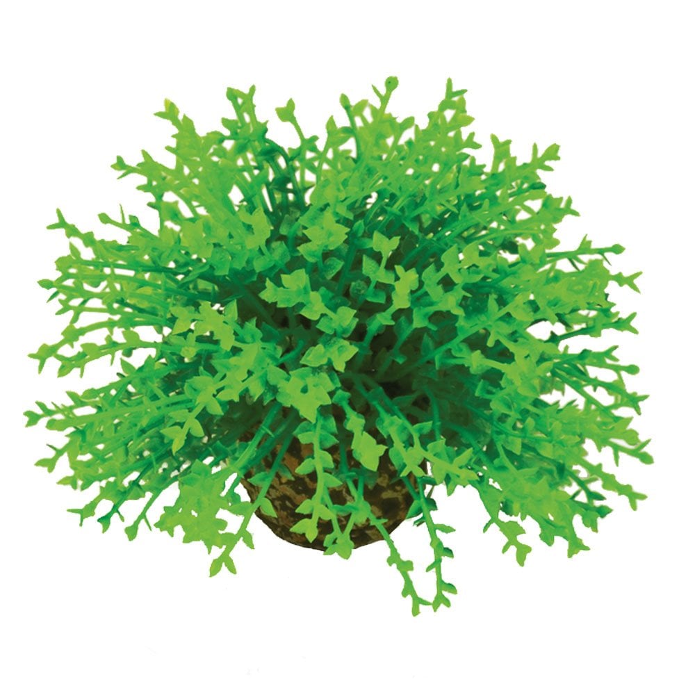 Topiary Ball - Green