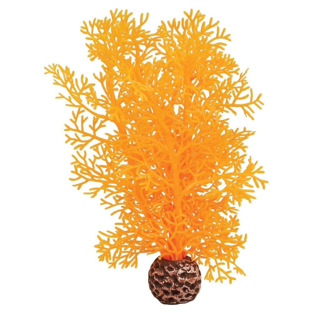 Orange Sea Fan - Small