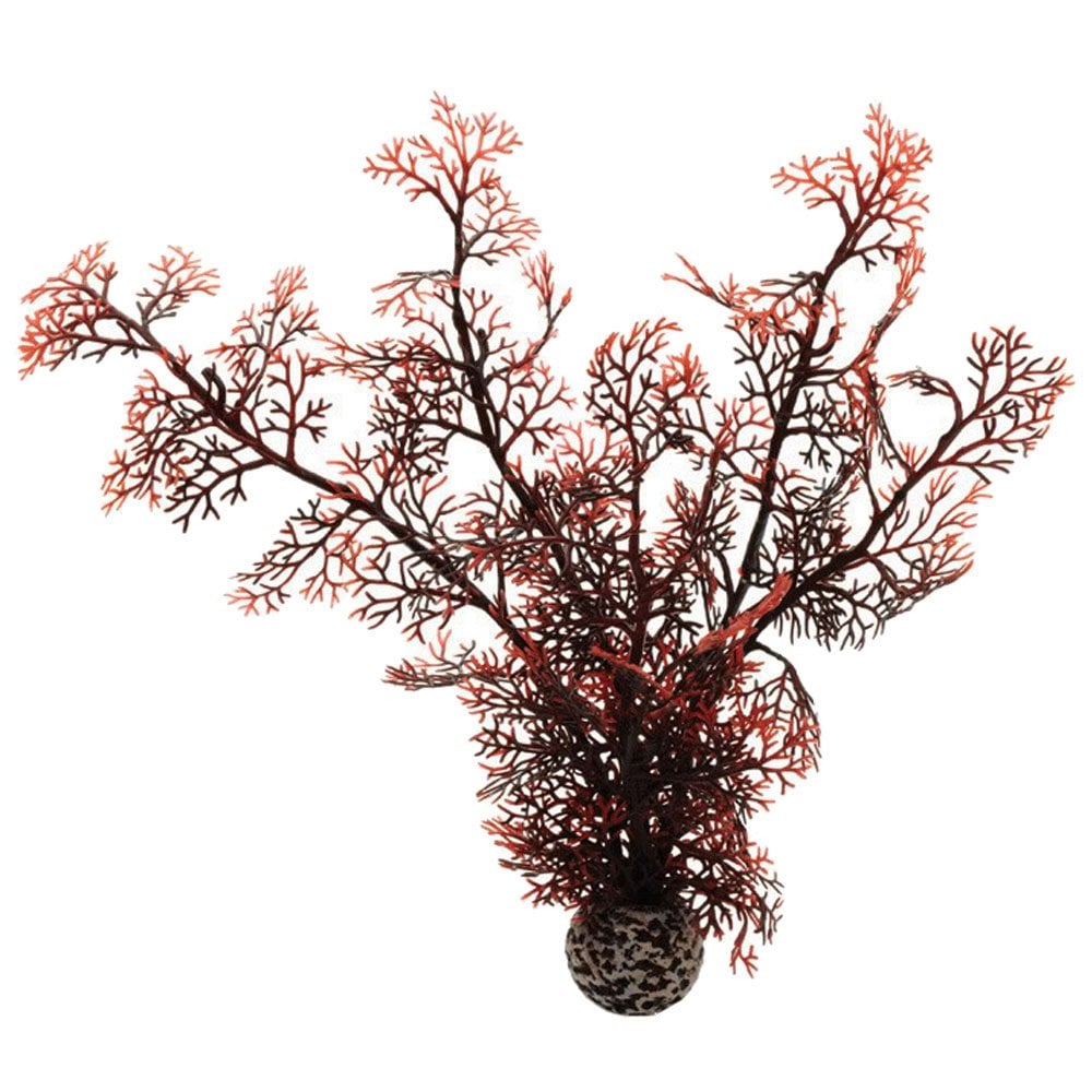 Crimson Sea Fan - Large