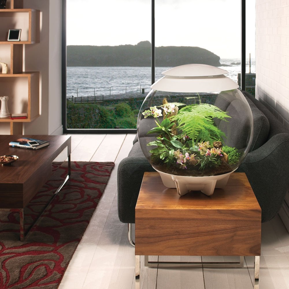 Air 60 Terrarium - White