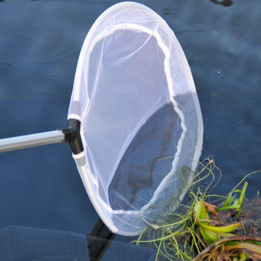 Skimmer Net