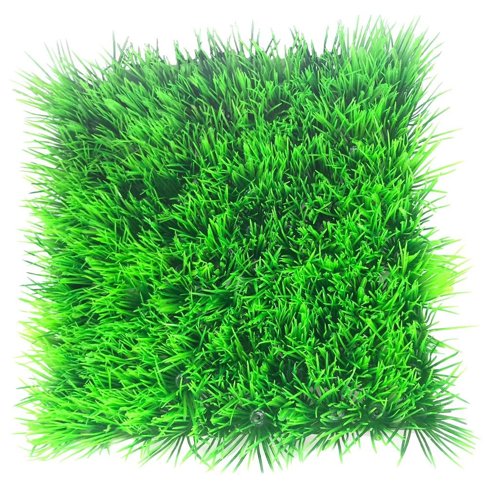 Dwarf Hairgrass Mat 25 x 25cm