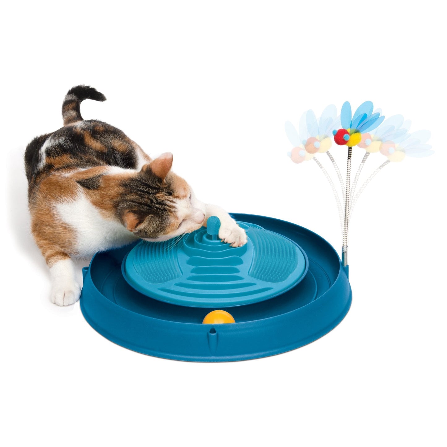 Play Circuit Ball Toy With Catnip Massager