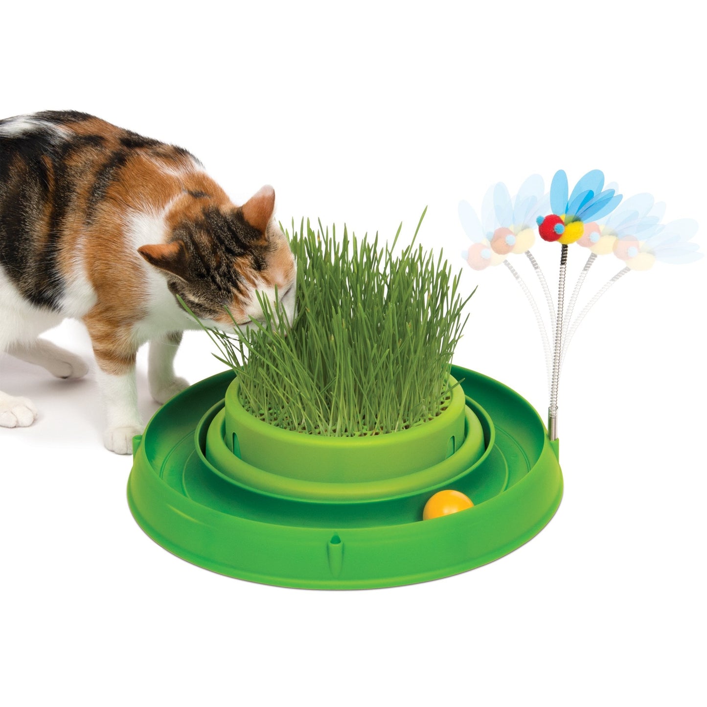Play Circuit Ball Toy With Cat Grass