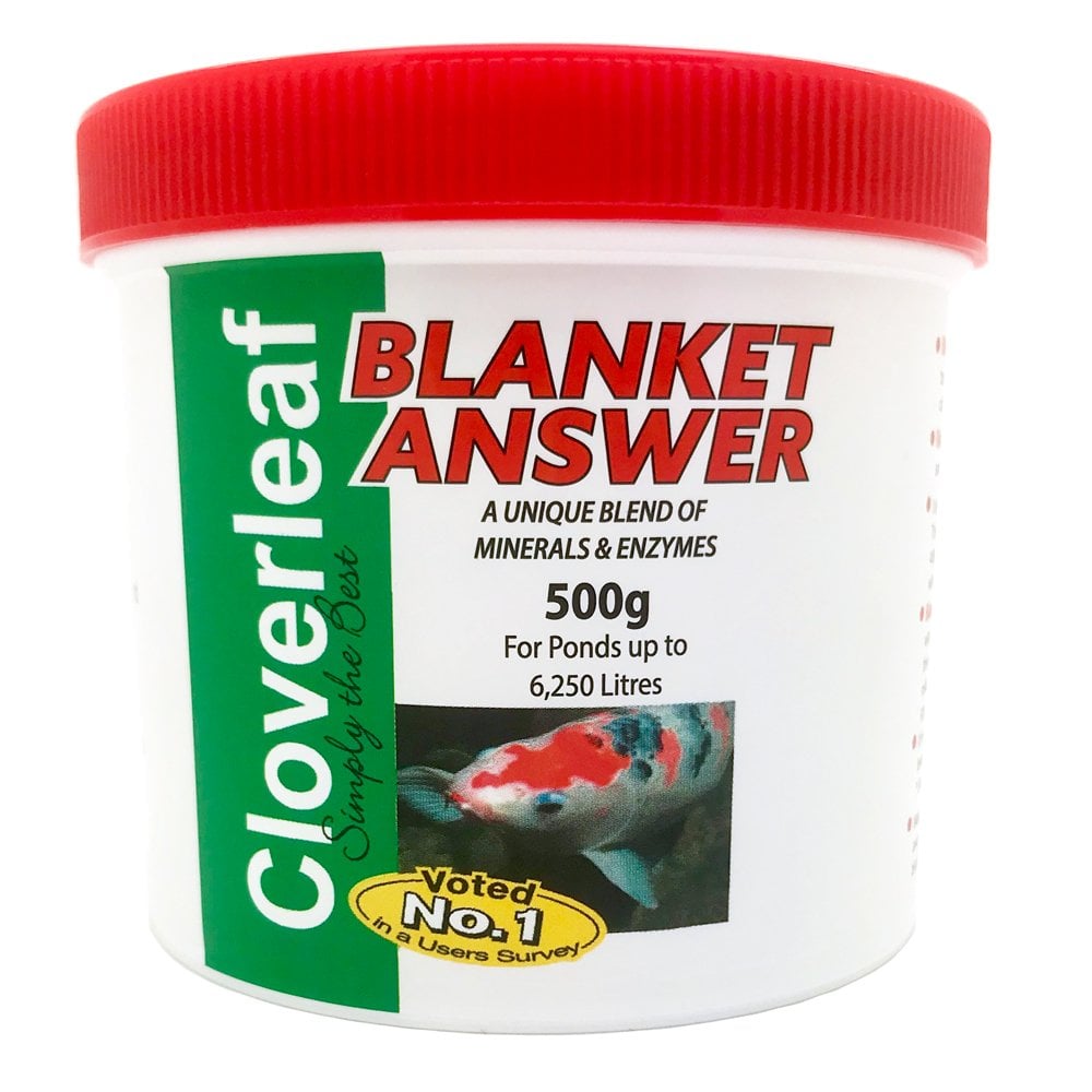 Blanket Answer