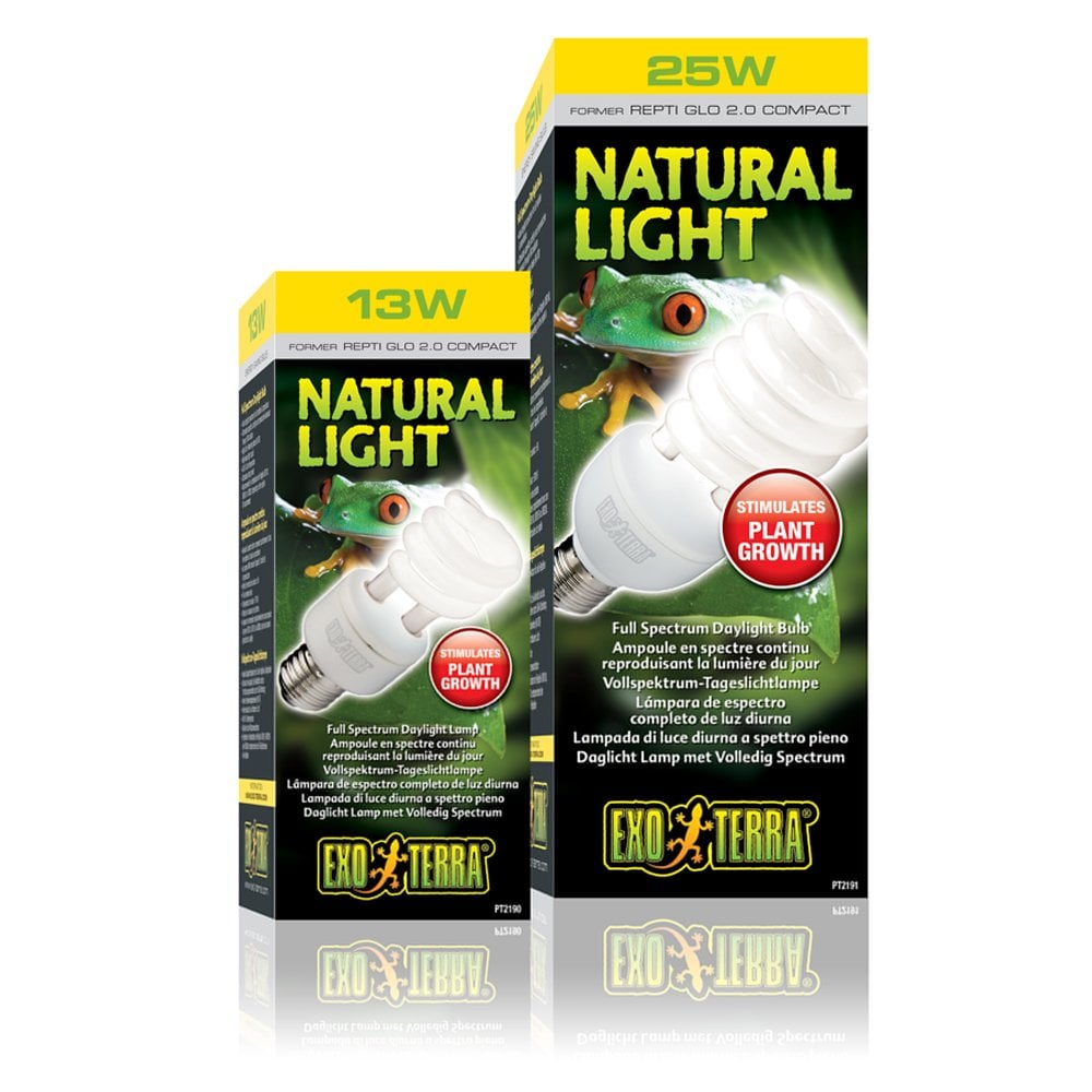 Natural Light Compact Lamps
