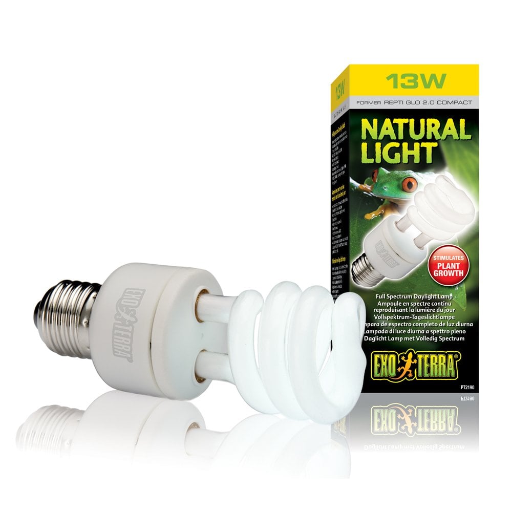 Natural Light Compact Lamps