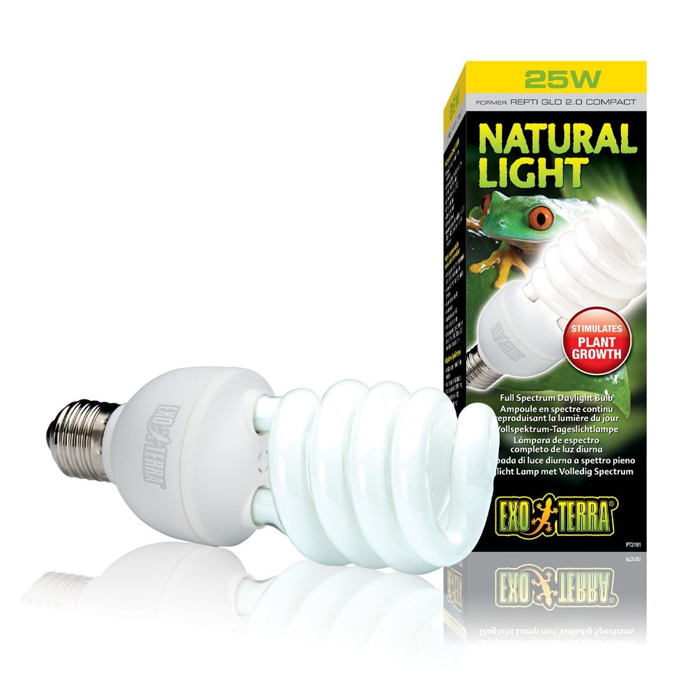 Natural Light Compact Lamps