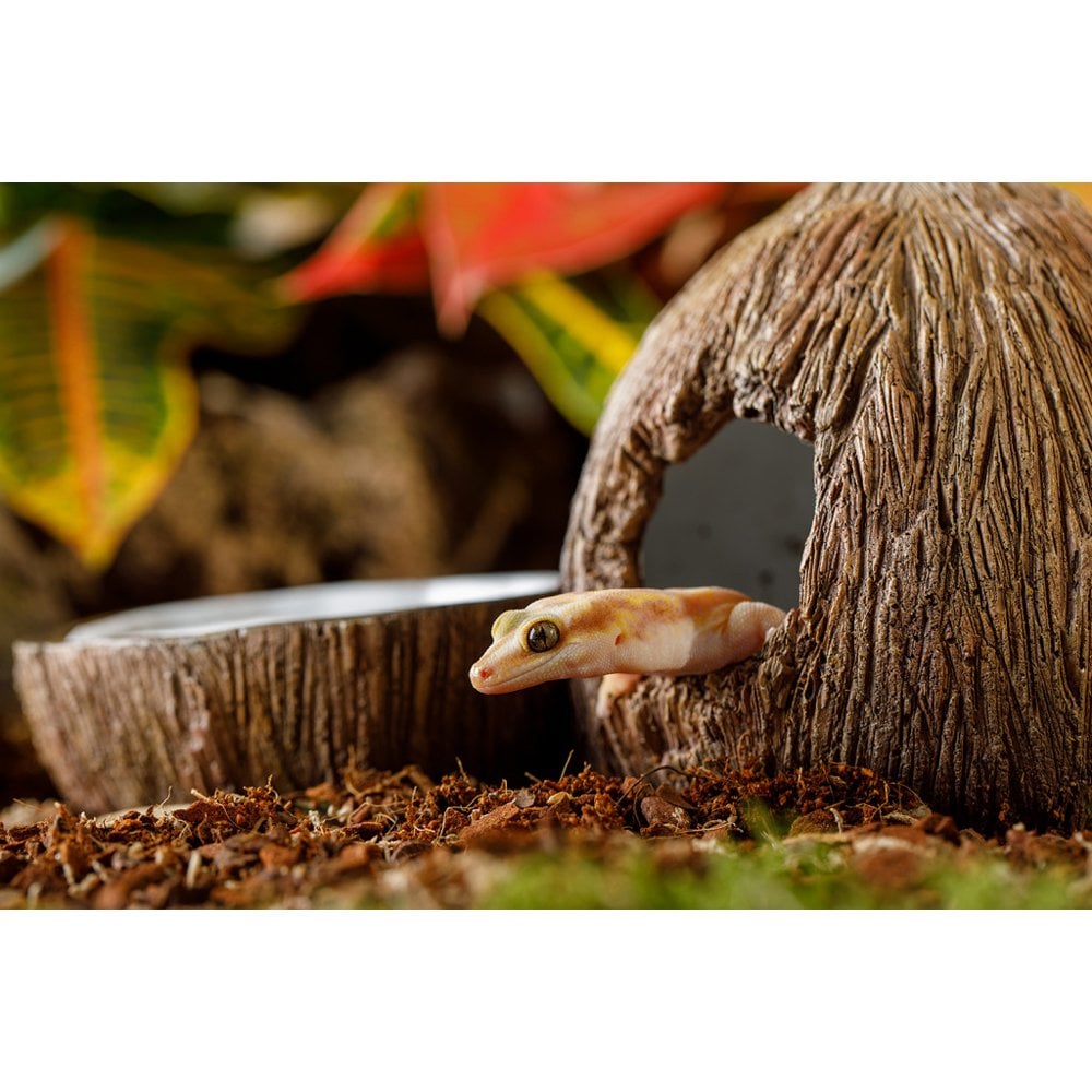 Coconut Hide & Water Dish