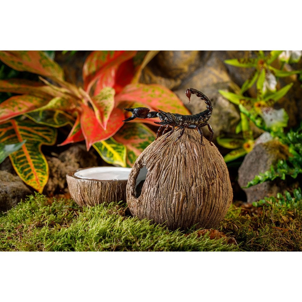 Coconut Hide & Water Dish
